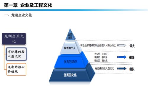 龍湖工程管理手冊培訓(xùn) 提升工程管理服務(wù)效能與標(biāo)準(zhǔn)化水平